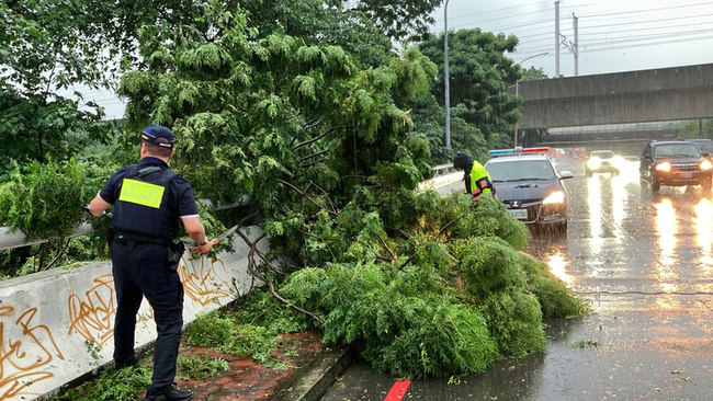 台中市大雨南屯區路樹倒塌   警方清除恢復通行 | 華視新聞