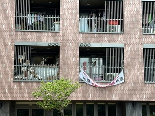 明倫社宅老婦堆雜物飄異味  北市：依約要求搬離