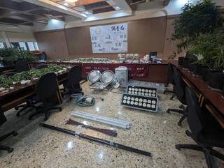 透天厝種大麻父子檔落網 初估1.5億植株、成品遭扣