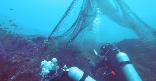 維護海洋生態  澎湖6年清海底覆網15萬公斤