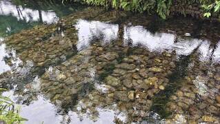 盤點開發伏流水  水利署：拚115年日供168萬噸