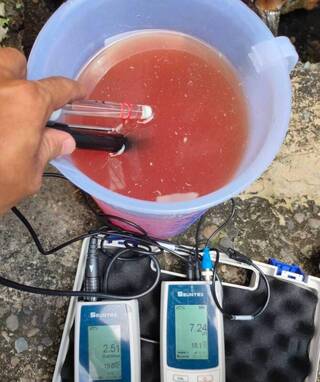 鳳山側溝見紅色廢水 高市府查獲雞肉工廠偷排開罰