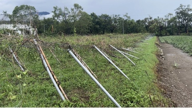 台東颱風農損救助申請剩2天 縣府快辦櫃台加速流程 | 華視新聞