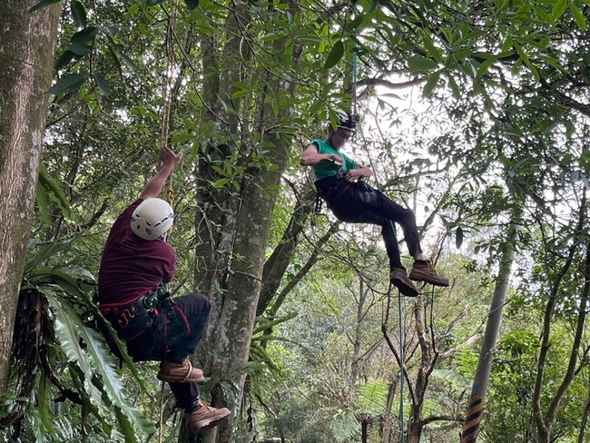 文大森保系斥資百萬開攀樹課 香港男團來台體驗 | 華視新聞
