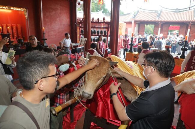 台南孔廟晨曦中祭孔 疫情停2年拔智慧毛復辦 | 華視新聞