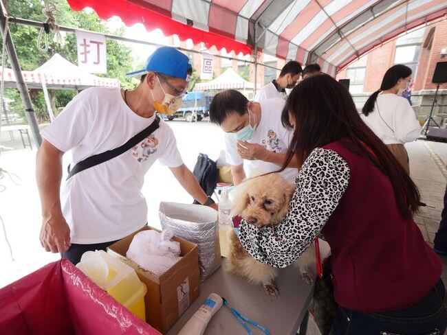 竹縣護毛小孩10/10狂犬病疫苗注射  600劑免費打 | 華視新聞