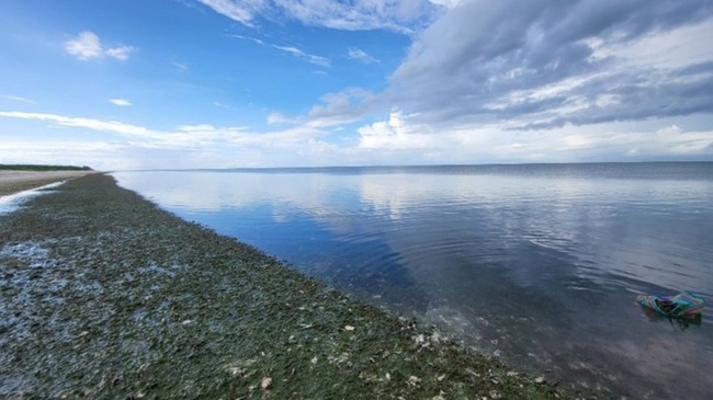 海委會盤點藍碳量 全台逾34萬噸分布15縣市 | 華視新聞