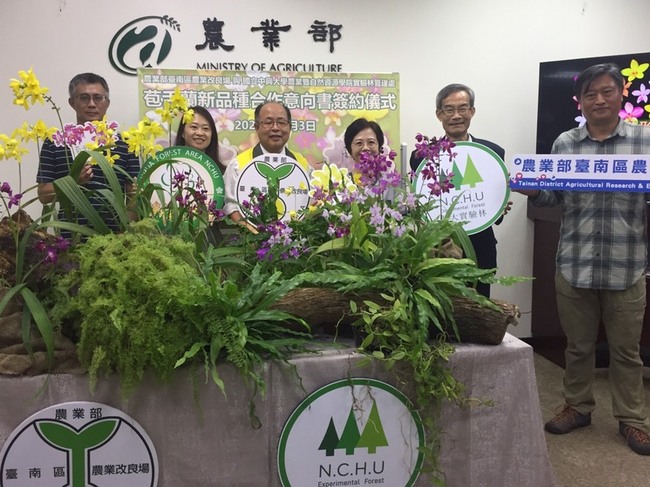 瀕危紫苞舌蘭育成5品種 新化林場允造打卡花壇 | 華視新聞