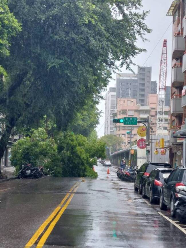 颱風小犬逼近 北市松山區2路樹傾倒未釀傷亡 | 華視新聞