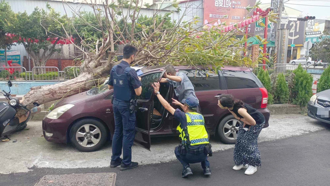 颱風小犬逼近台中3處路樹遭吹倒  壓損汽機車 | 華視新聞