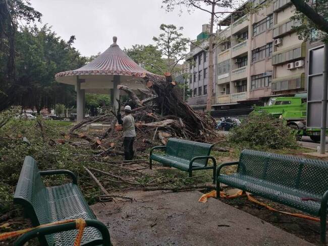 颱風小犬來襲 竹市災情以路樹傾倒、招牌掉落為多 | 華視新聞