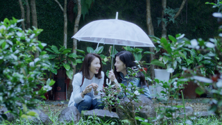 林心如林熙蕾「此時此刻」陷苦戀 蔡依林受邀獻唱