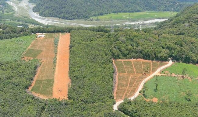 監院糾正山坡地開發監督不力  花縣府：積極改正 | 華視新聞