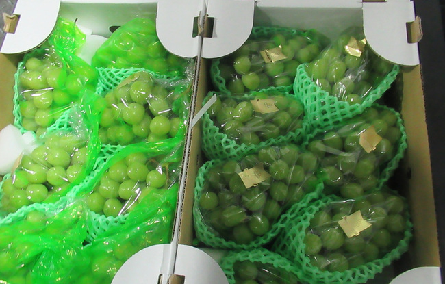 日本進口鮮葡萄農藥殘留違規 250公斤邊境攔截 | 華視新聞