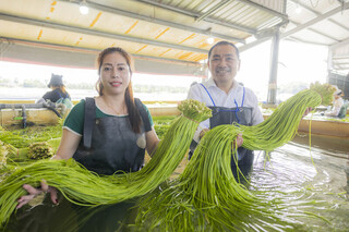 侯友宜：賴清德能源政策變來變去 也不敢講台獨