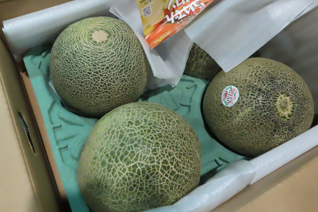 日本鮮蜜瓜農藥超標 56公斤遭邊境攔截 | 華視新聞