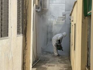 澎湖出現今年首例本土登革熱 縣府展開消毒疫調