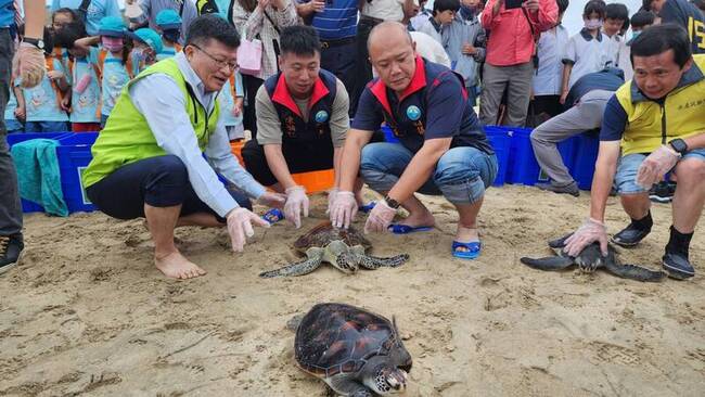 澎湖野放34隻保育海龜  重返大海展開新生 | 華視新聞