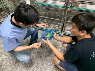 「鳥事一籮筐」講習  高市動保處提升產業競爭力
