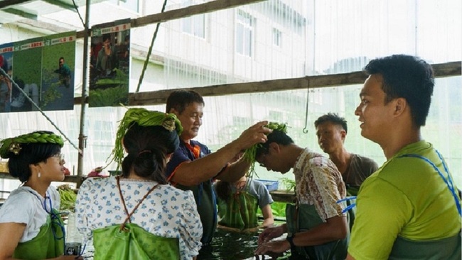 青年辦展覽工作坊 為美濃野蓮產業打造識別價值 | 華視新聞