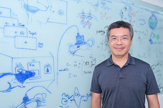 研究：大腦學習步驟會回溯 當下獎勵有助正確行為