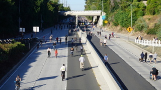 洛杉磯5萬人踏上110高速公路 響應無車日