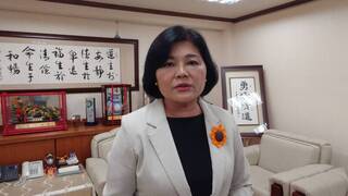 張麗善談藍白合 合不來就另找對象