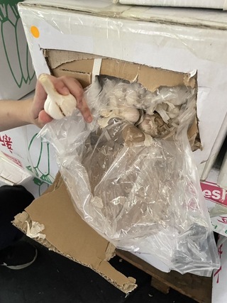 白蘿蔔貨櫃夾藏中國蒜頭、香菇絲 保三逮4人送辦
