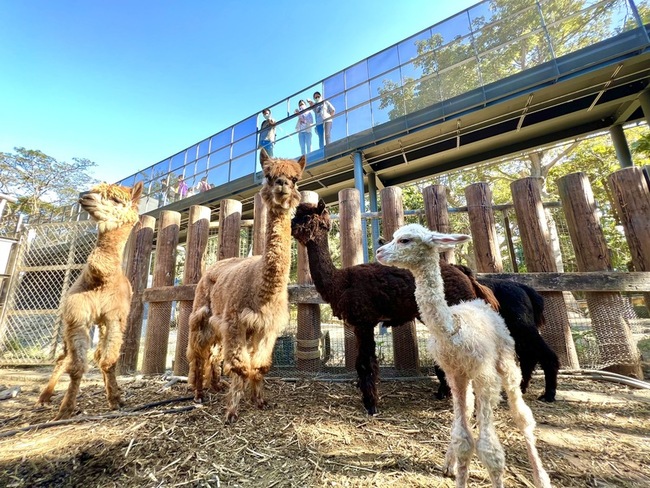 高雄壽山動物園友善設計 獲台灣建築獎首獎 | 華視新聞