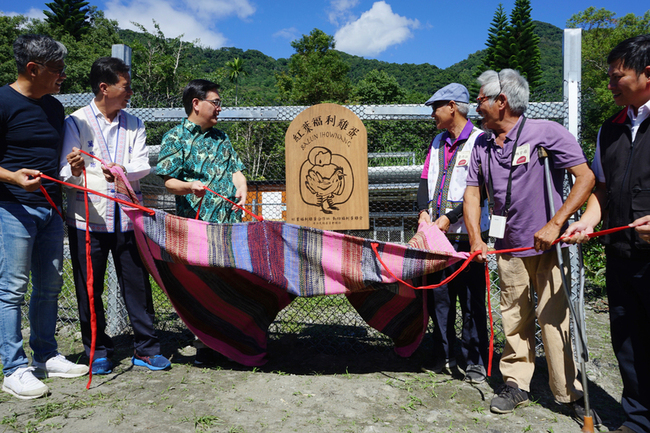 花蓮長者友善飼養蛋雞 擴建帶動部落產業發展 | 華視新聞