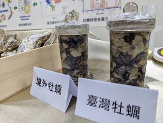 水試所研發牡蠣鑑識技術 辨別國產蚵與境外蚵