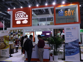 中國央企採購美國大豆 數量創數月新高