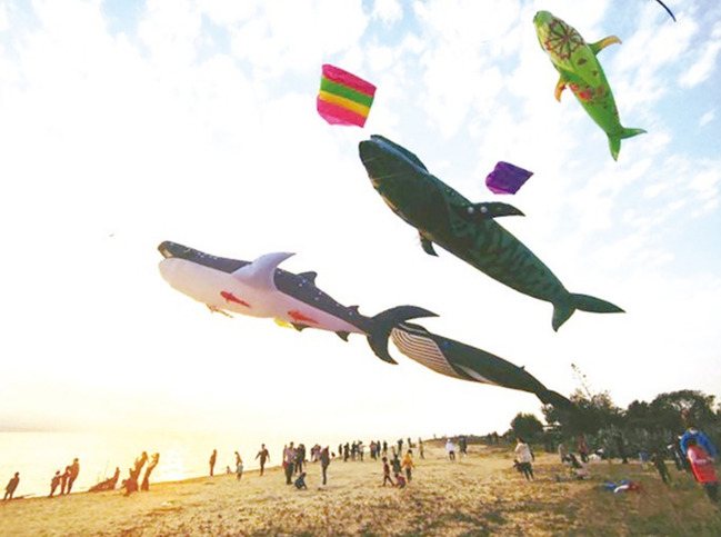 金門離島風箏節週末登場 巨型歐亞水獺造型吸睛 | 華視新聞