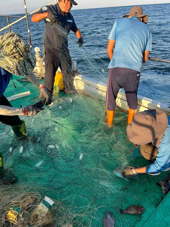 澎湖海域發現三層刺網非法捕撈 海管處依法沒收 | 華視新聞