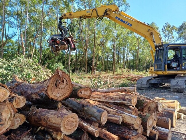 重建東部林業產業鏈 著眼全材利用將建置大型破碎機 | 華視新聞