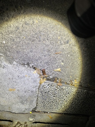 與前女友網路貼文起糾紛開槍 男子落網後送辦交保