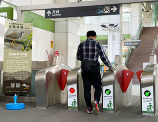 中捷閘門刷卡音效播放7種鳥鳴聲 20日起一路啼醒