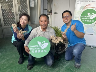 秋冬養生不可或缺一味 台東友善環境生薑暖心又暖胃
