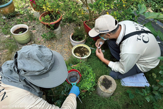 台南登革熱病例續降  19日起保全期盼速終結疫情
