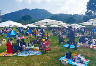 百組家庭阿里山愛情大草原野餐  助等家寶寶募蔬果