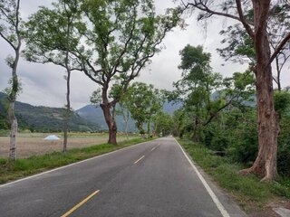 台東武陵綠色隧道風景優  外役監獄認養維護環境