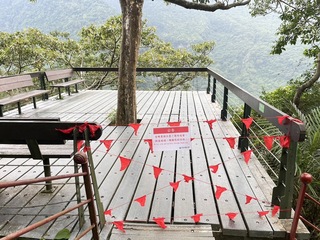 太魯閣得卡倫步道虎頭蜂出沒  第六平台暫時封閉