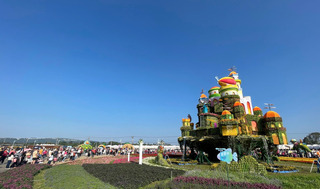 台中花毯節12/3落幕  市府籲賞美景要趁早