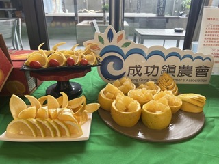 台東旗魚季千人辦桌將飄香  臍橙產量減同拚行銷