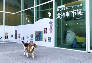 南美館「愛洛萌市集」開市 主人帶寵物同樂