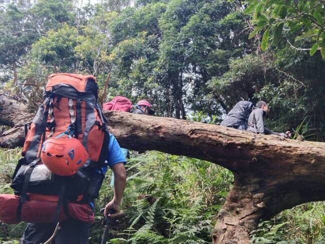 外籍人士霧台鄉登山迷路 屏東119陸空救援 | 華視新聞