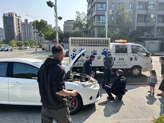 2幼貓卡汽車引擎室台中警誘捕 女童路過萌喊加油