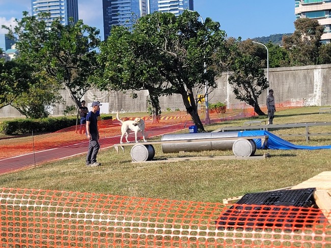 強化特搜力 花蓮派2隻搜救犬參加評量獲A級認證 | 華視新聞