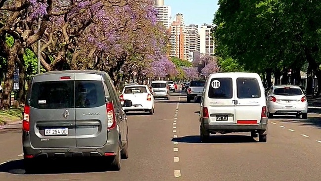 阿根廷進口停擺鬧車牌荒 政府開放民眾「紙牌」上路 | 華視新聞