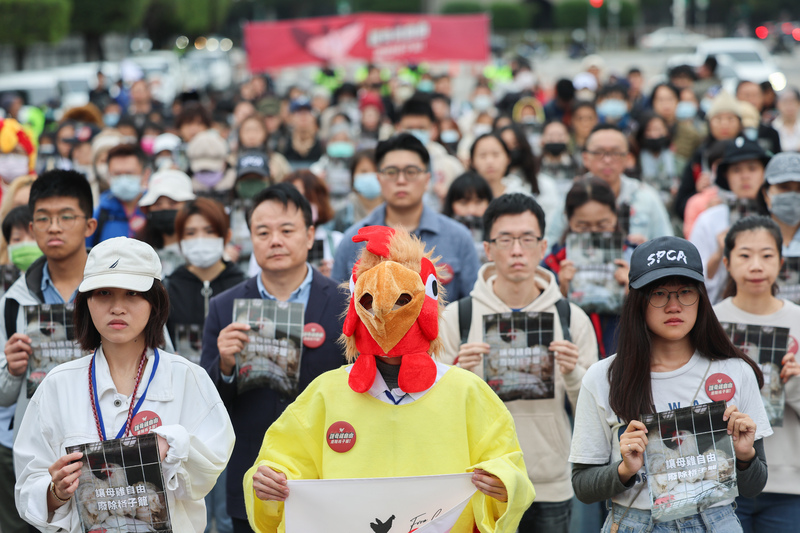 民眾凱道呼籲格子籠飼養退場（2）